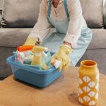 Why Hiring a Regular House Cleaner can Change your Life