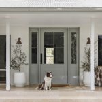 Home Cleaning Tip for Dog Owners - Nest Cleaning Brisbane