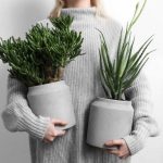 How to Clean and Maintain Your Indoor Plants - Nest Brisbane