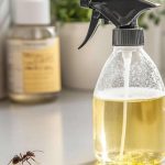 Combating Summer Bugs with Deep Spring Cleaning